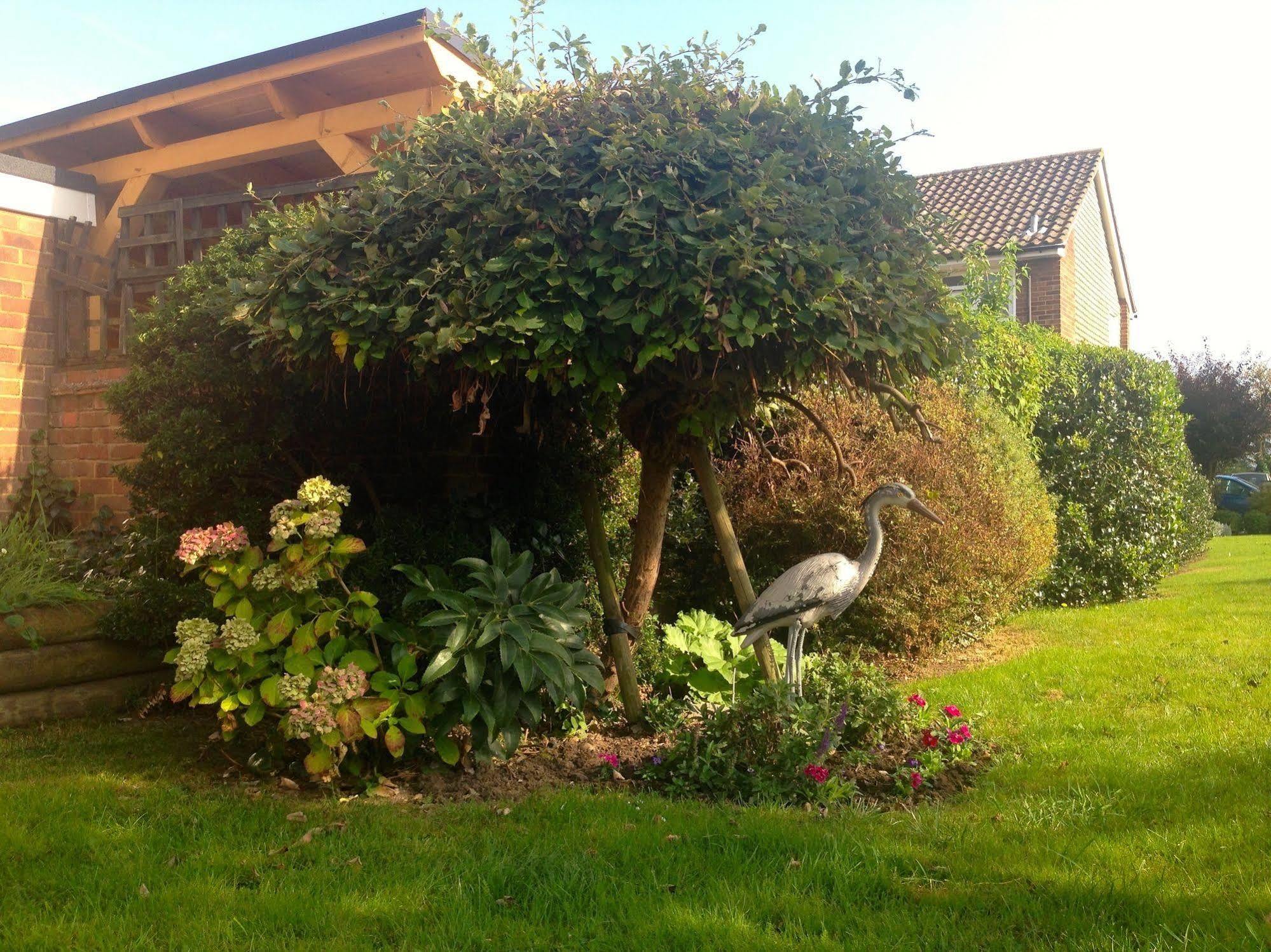Herons Nest B&B Марлоу Экстерьер фото